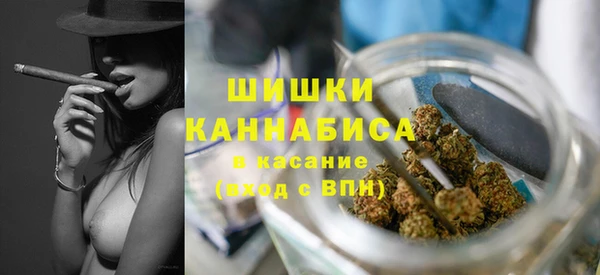 PSILOCYBIN Белокуриха